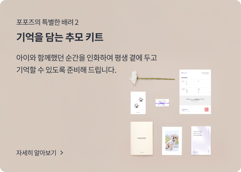 슬라이드3