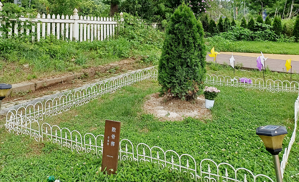 산골장